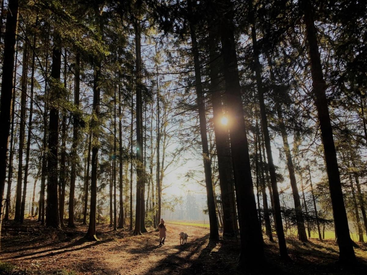 Feriendorf Buechelberg Windorf  ภายนอก รูปภาพ